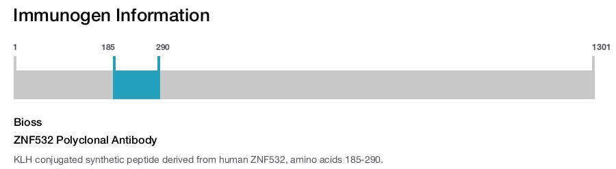 ZNF532 Polyclonal Antibody