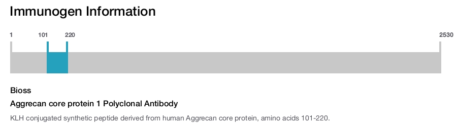 Aggrecan core protein 1 Polyclonal Antibody