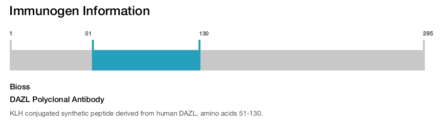 DAZL Polyclonal Antibody