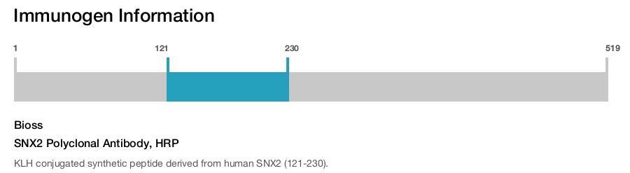 SNX2 Polyclonal Antibody, HRP