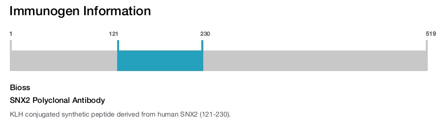 SNX2 Polyclonal Antibody