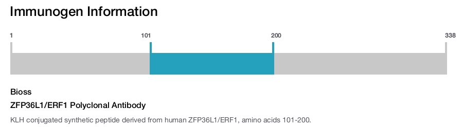 ZFP36L1/ERF1 Polyclonal Antibody
