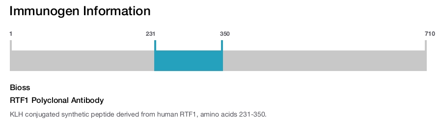 RTF1 Polyclonal Antibody