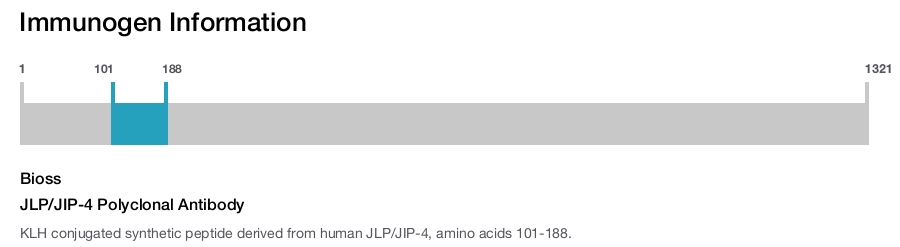 JLP/JIP-4 Polyclonal Antibody