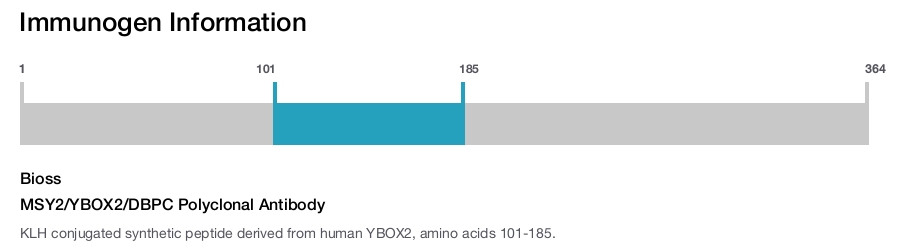 MSY2/YBOX2/DBPC Polyclonal Antibody