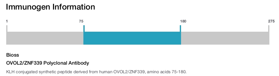 OVOL2/ZNF339 Polyclonal Antibody