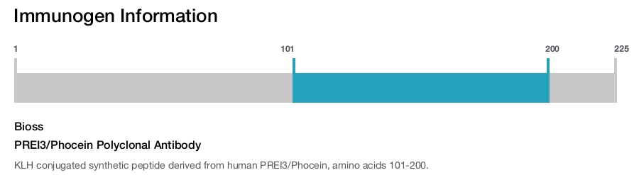 PREI3/Phocein Polyclonal Antibody