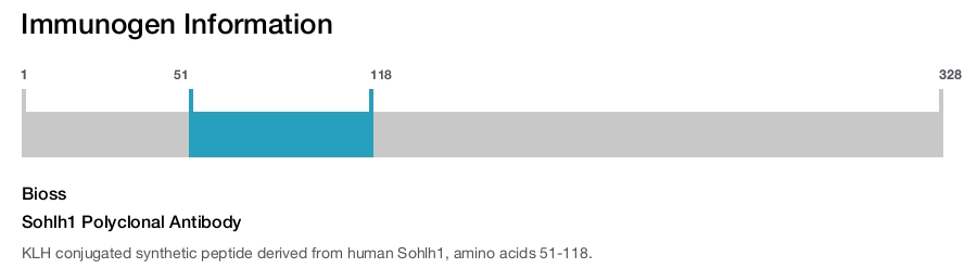 Sohlh1 Polyclonal Antibody