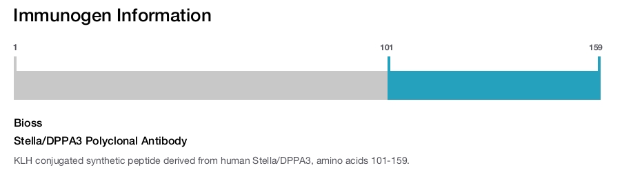 Stella/DPPA3 Polyclonal Antibody