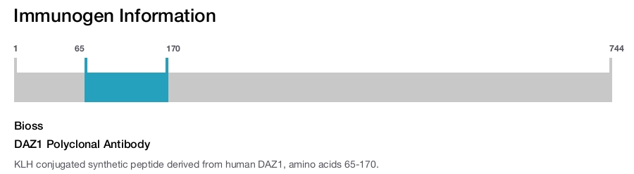 DAZ1 Polyclonal Antibody