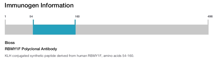 RBMY1F Polyclonal Antibody