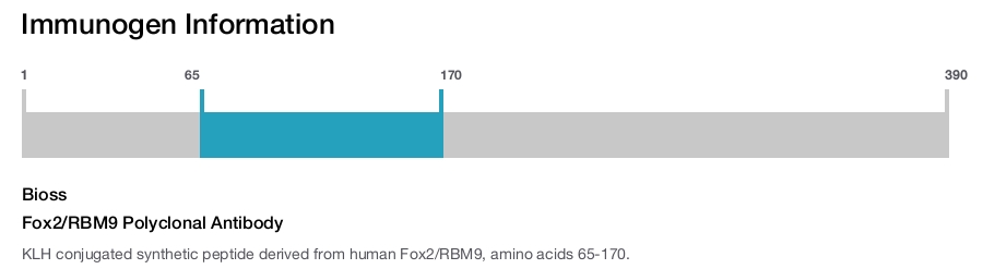 Fox2/RBM9 Polyclonal Antibody