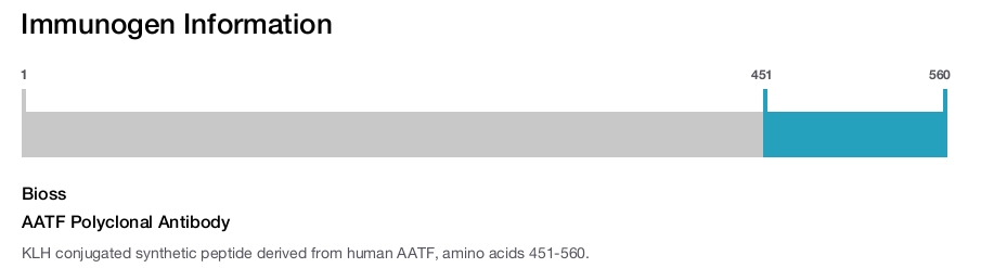 AATF Polyclonal Antibody