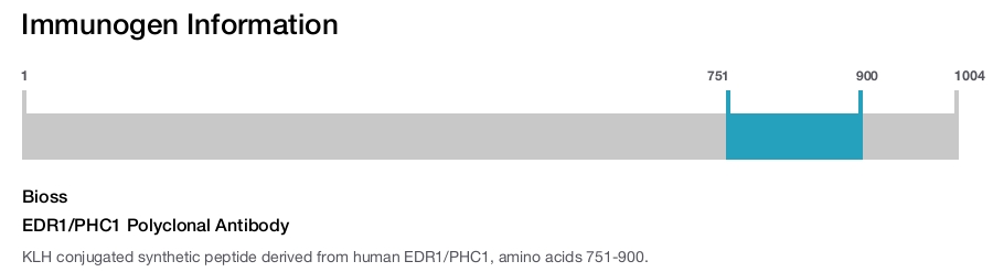 EDR1/PHC1 Polyclonal Antibody