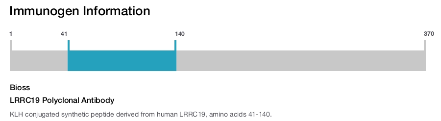LRRC19 Polyclonal Antibody
