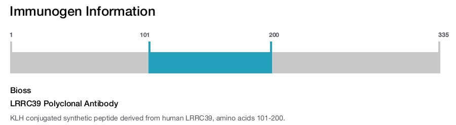 LRRC39 Polyclonal Antibody