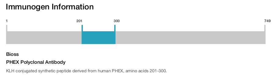 PHEX Polyclonal Antibody