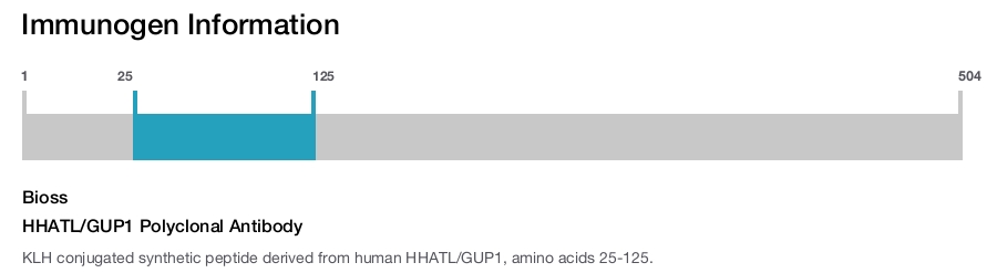 HHATL/GUP1 Polyclonal Antibody