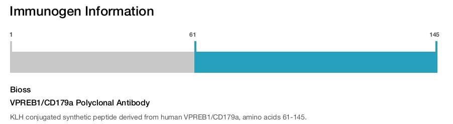VPREB1/CD179a Polyclonal Antibody