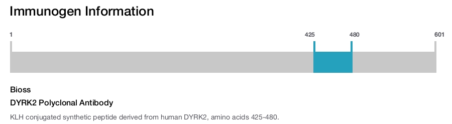 DYRK2 Polyclonal Antibody