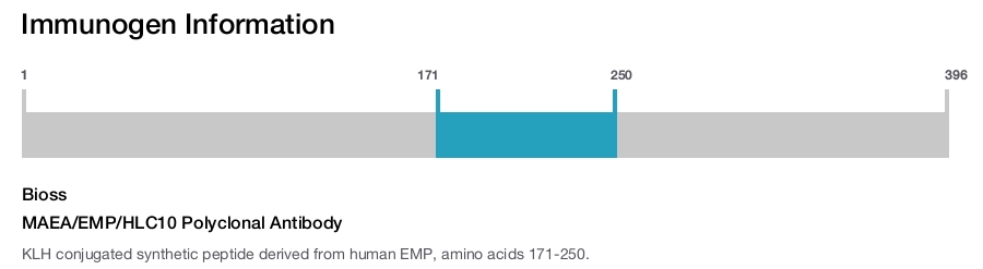 MAEA/EMP/HLC10 Polyclonal Antibody