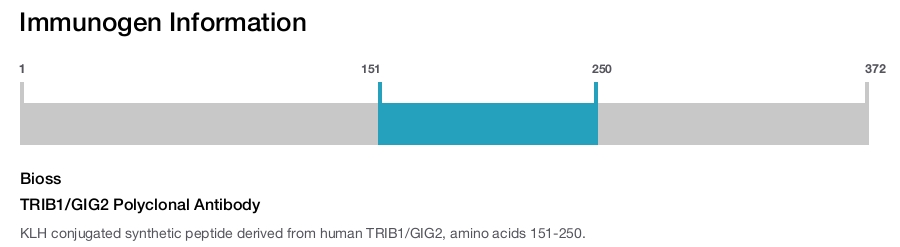 TRIB1/GIG2 Polyclonal Antibody