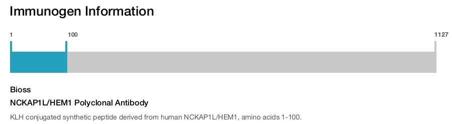 NCKAP1L/HEM1 Polyclonal Antibody