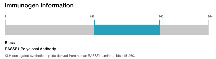 RASSF1 Polyclonal Antibody
