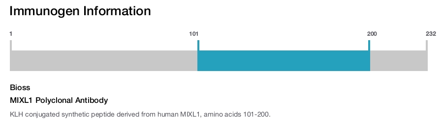 MIXL1 Polyclonal Antibody