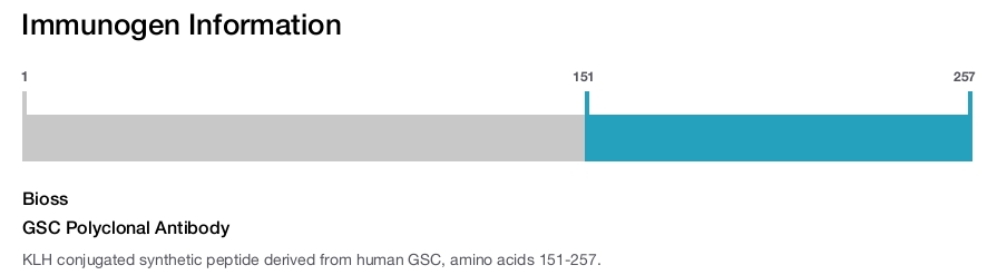 GSC Polyclonal Antibody