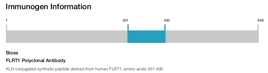 FLRT1 Polyclonal Antibody