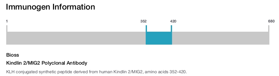 Kindlin 2/MIG2 Polyclonal Antibody