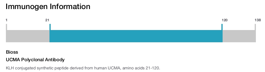 UCMA Polyclonal Antibody