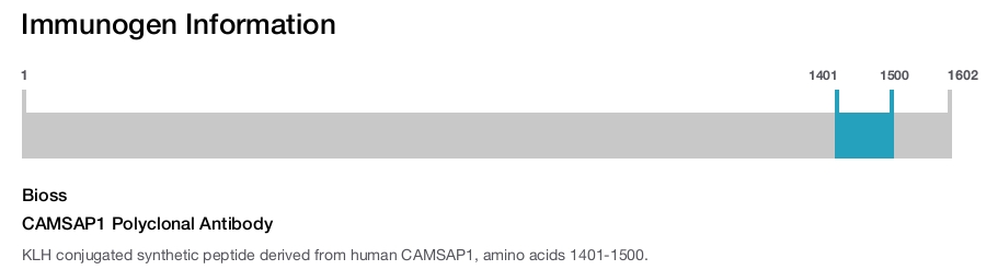 CAMSAP1 Polyclonal Antibody