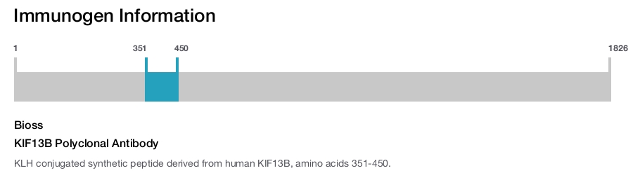 KIF13B Polyclonal Antibody
