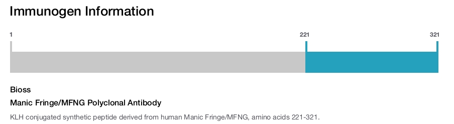 Manic Fringe/MFNG Polyclonal Antibody