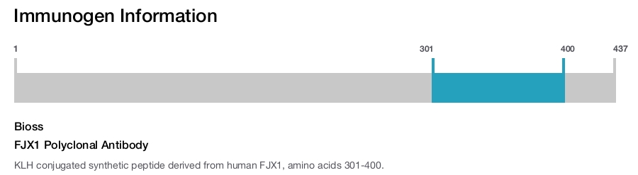 FJX1 Polyclonal Antibody
