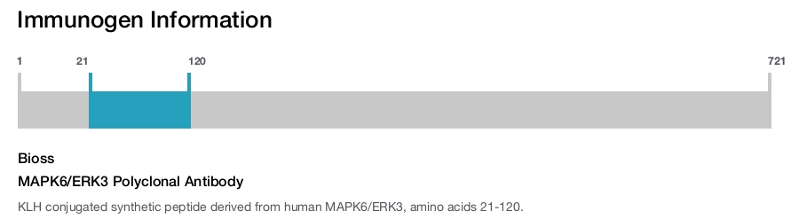 MAPK6/ERK3 Polyclonal Antibody