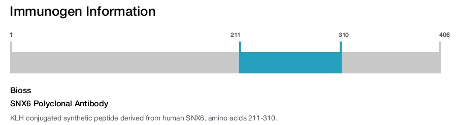 SNX6 Polyclonal Antibody