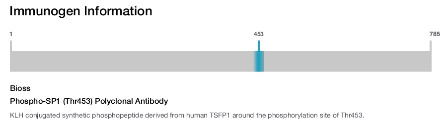 Phospho-SP1 (Thr453) Polyclonal Antibody