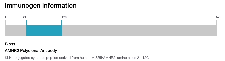 AMHR2 Polyclonal Antibody