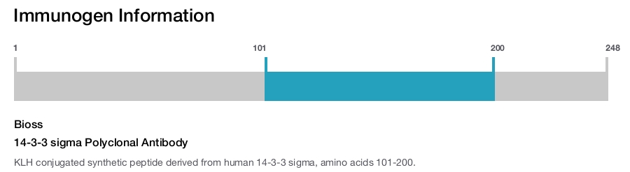 14-3-3 sigma Polyclonal Antibody