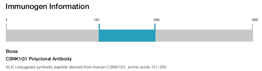 CSNK1G1 Polyclonal Antibody