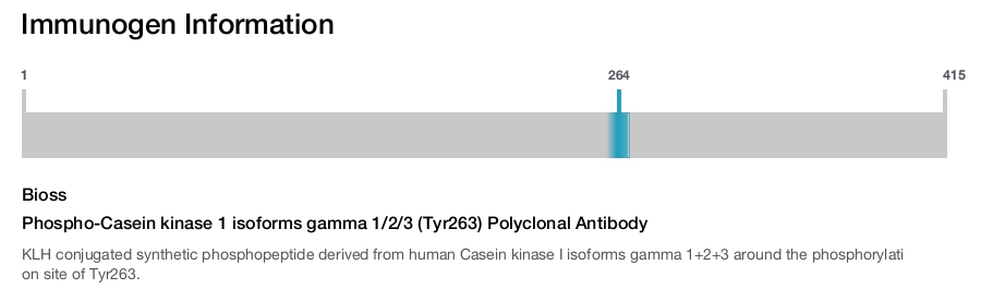 Phospho-Casein kinase 1 isoforms gamma 1/2/3 (Tyr263) Polyclonal Antibody