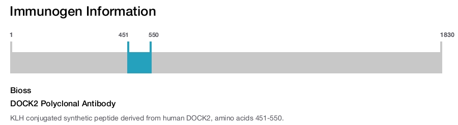 DOCK2 Polyclonal Antibody
