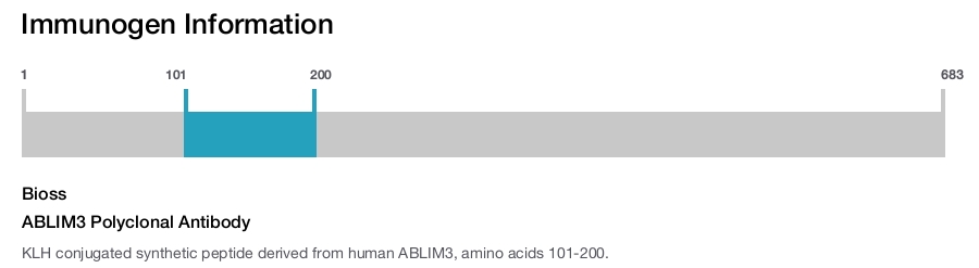 ABLIM3 Polyclonal Antibody