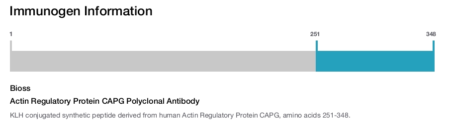 Actin Regulatory Protein CAPG Polyclonal Antibody