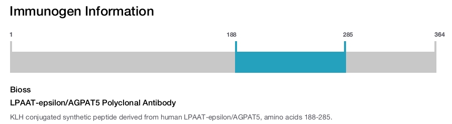LPAAT-epsilon/AGPAT5 Polyclonal Antibody