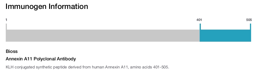 Annexin A11 Polyclonal Antibody