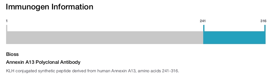 Annexin A13 Polyclonal Antibody